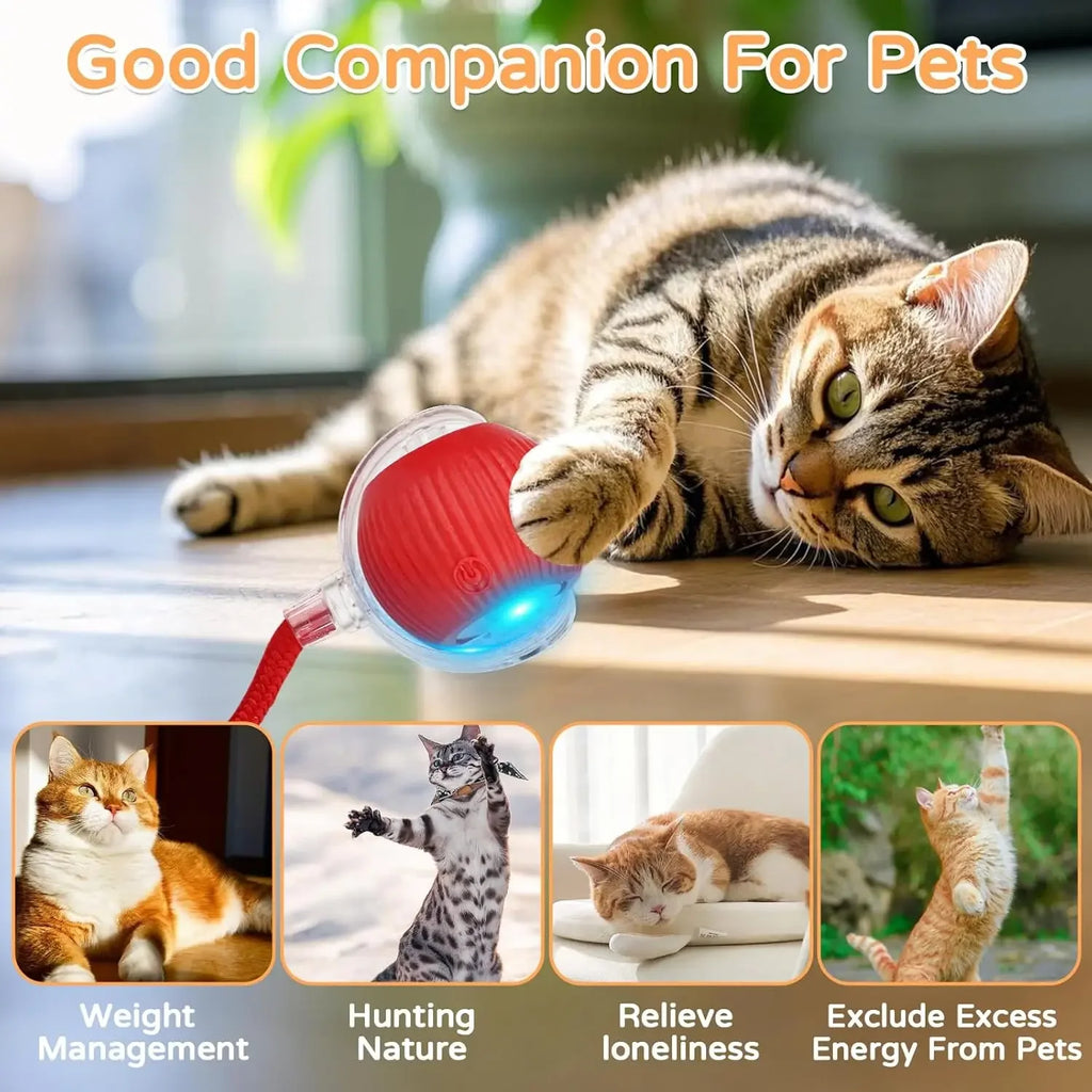 Interactive Rolling Ball Cat Toy – Auto-Moving with Faux Tail & Mouse Imitation
