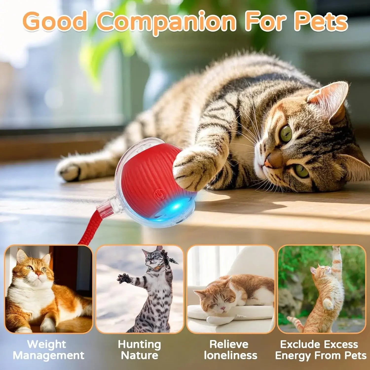Interactive Rolling Ball Cat Toy – Auto-Moving with Faux Tail & Mouse Imitation