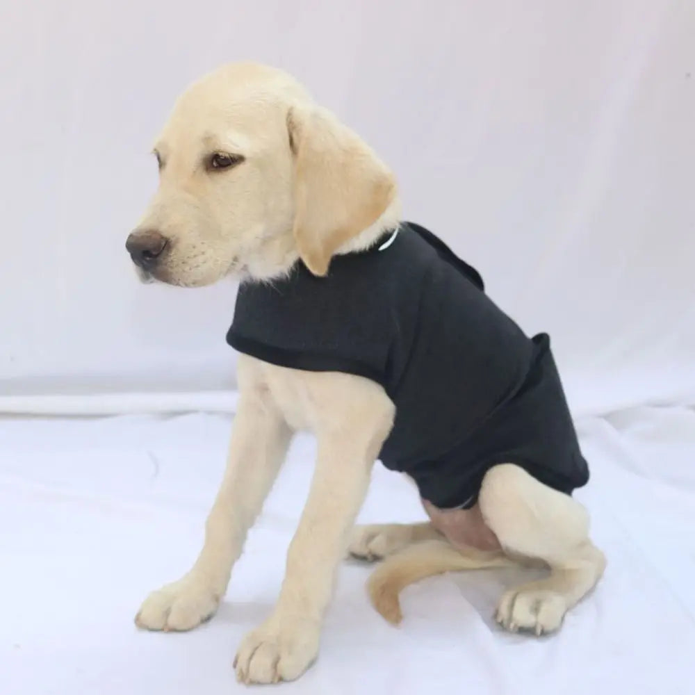 Breathable Dog Anxiety Jacket – Adjustable Calming Wrap for Dogs & Puppies