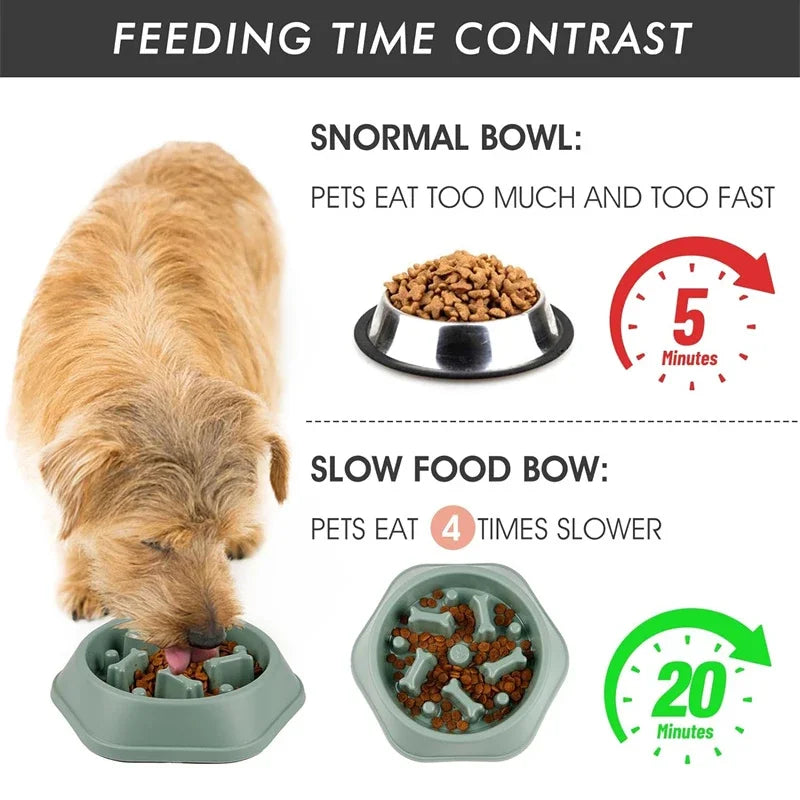 Slow Feeder Dog Bowl – Anti-Choking Puzzle Dish for Small & Medium Dogs