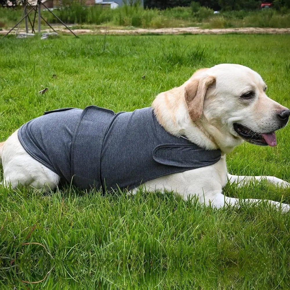 Breathable Dog Anxiety Jacket – Adjustable Calming Wrap for Dogs & Puppies