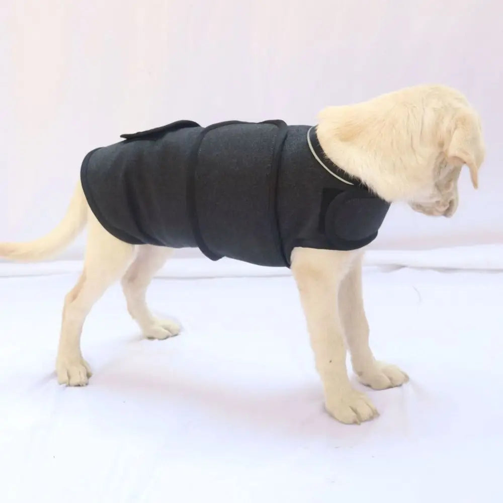 Breathable Dog Anxiety Jacket – Adjustable Calming Wrap for Dogs & Puppies