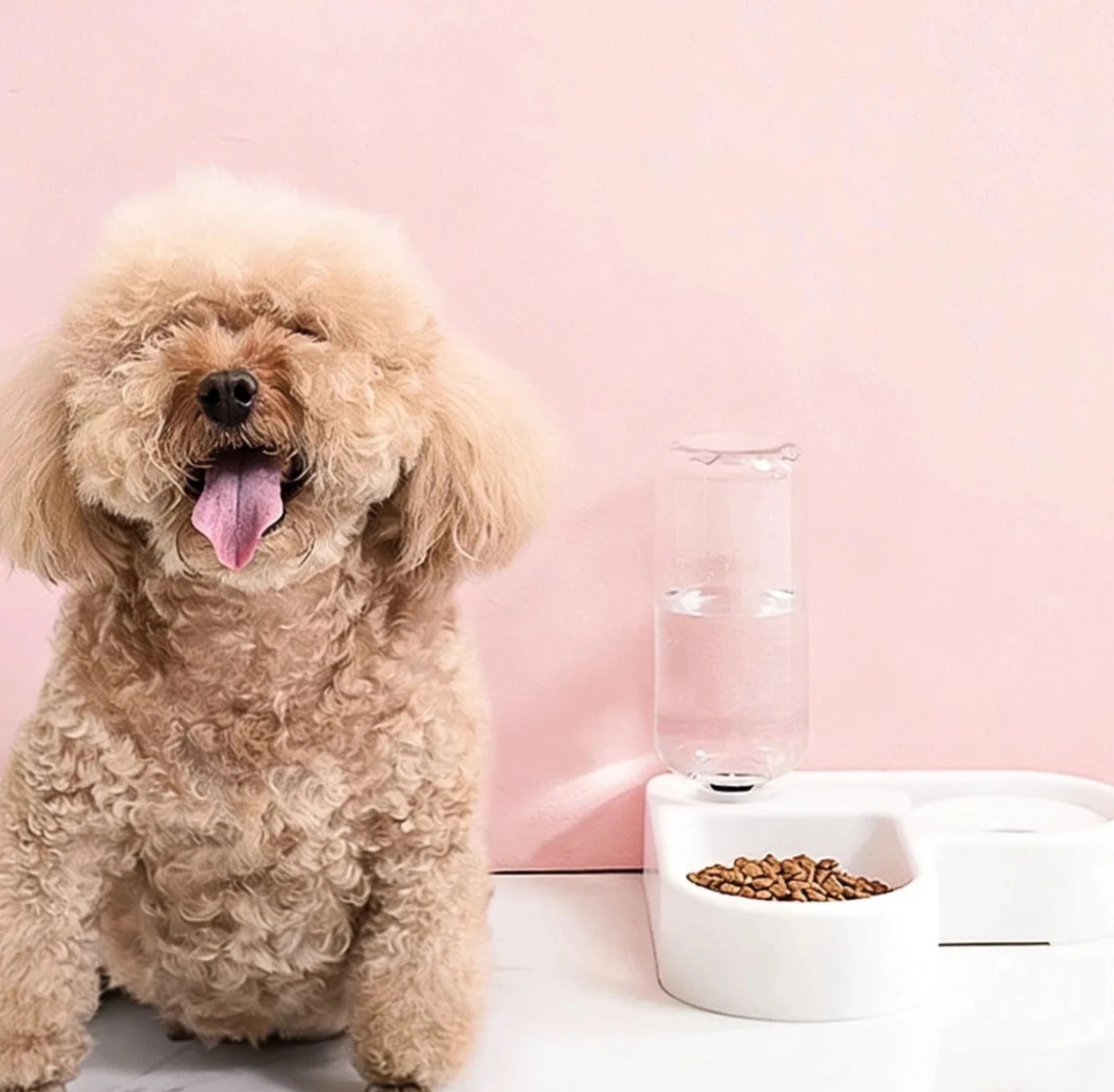 Automatic Pet Water & Food Bowl – 500ml Dual-Use Moisture-Proof Feeder for Dogs & Cats