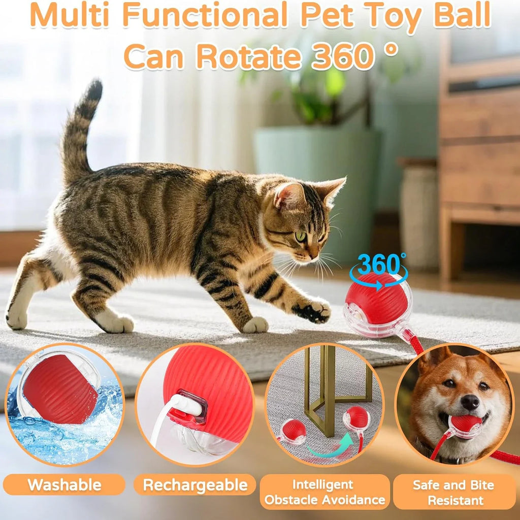 Interactive Rolling Ball Cat Toy – Auto-Moving with Faux Tail & Mouse Imitation